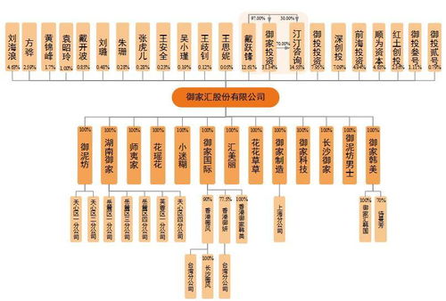 御家匯IPO周三上會 年入11億背后，面膜業務與軟件及輔助設備批發的商業邏輯